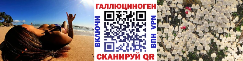 Купить закладки  Козловка  Псилоцибиновые грибы мухоморы 